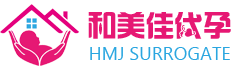 广州和美佳助孕网LOGO