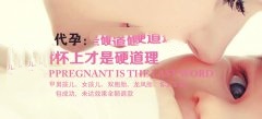 促排期间需要补充这些营养物质
