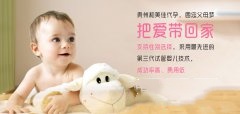 不孕夫妻如何通过广州代妈试管成功怀孕