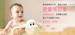 那些被代妈朋友无意中埋下的不孕祸根