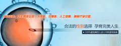 试管成功率与卵泡大小有关吗