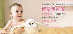 黄体功能不全离不开六大因素