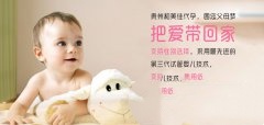 胎停育或许是这些原因作怪