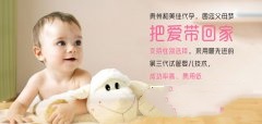 代妈试管的意义